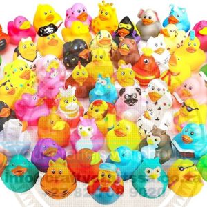 Cruising Ducky's