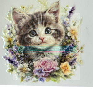 16oz Skinny Clear Glass Cats with Flowers